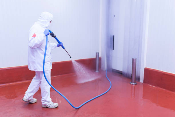 Best Driveway Pressure Washing  in Mountain Lodge Park, NY