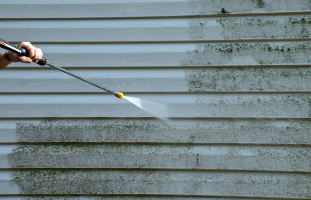 Best Roof Washing  in Mountain Lodge Park, NY